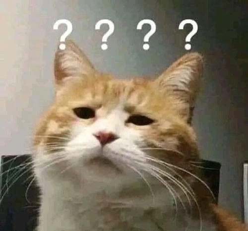 Ảnh meme mèo suy nghĩ khó hiểu