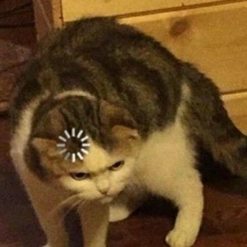 Hình ảnh meme suy nghĩ hài hước