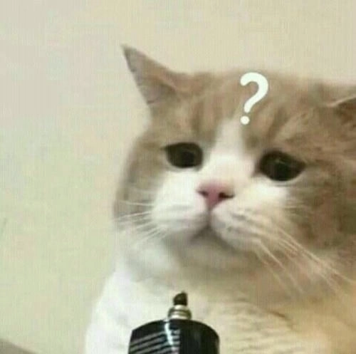 Meme mèo suy nghĩ dễ thương