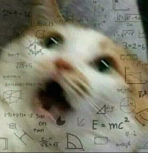 hình ảnh meme suy nghĩ toán học