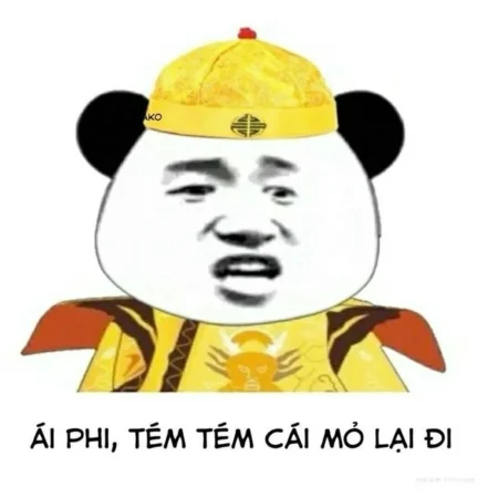 Cười bể bụng với129+ ảnh meme Trung Quốc hài hước siêu bựa