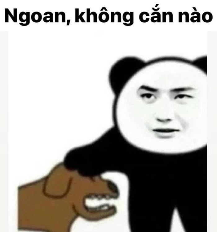 Meme Trung Quốc hài hước nhất