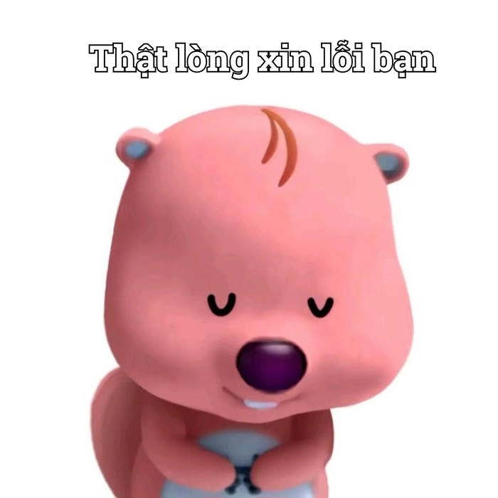 Meme xin lỗi cute