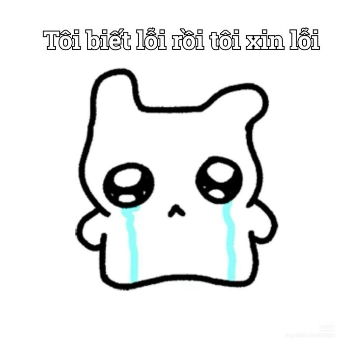 Xin lỗi meme hài hước