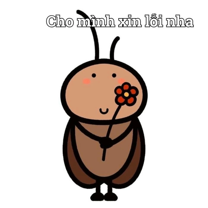 Meme xin lỗi cảm động và dễ thương