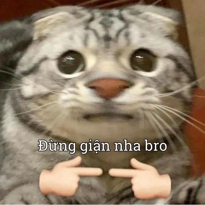 Meme xin lỗi siêu đáng yêu