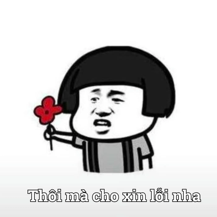 Meme xin lỗi độc đáo