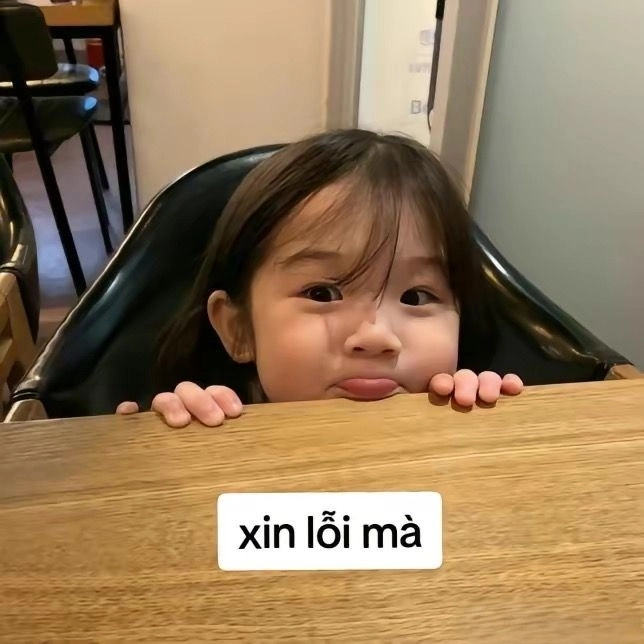 Meme xin lỗi đáng yêu nhất