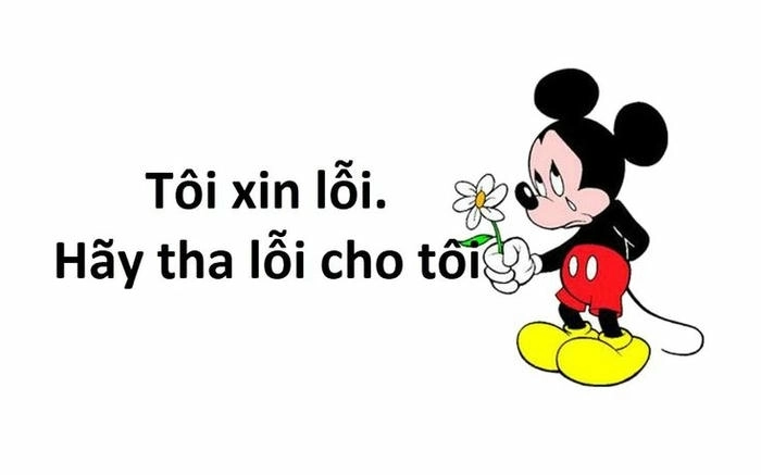 Ảnh meme đơn xin lỗi