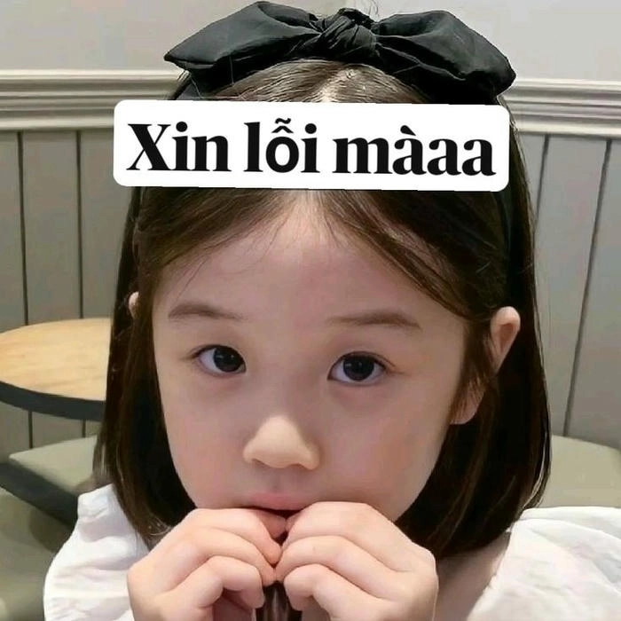Meme xin lỗi chân thành