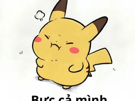Trọn bộ 66+ ảnh Pikachu meme hài hước nhất – Tải về miễn phí
