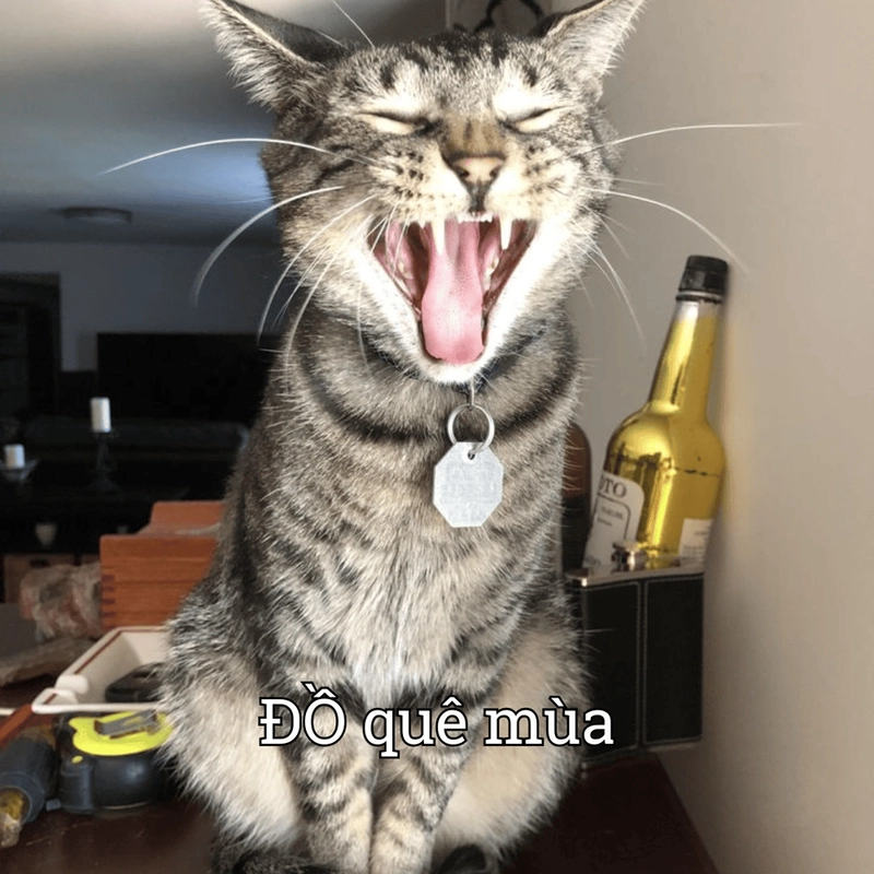 Ảnh chế meme quê