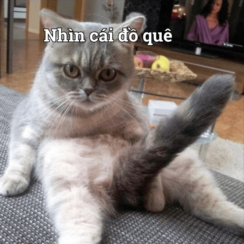 Meme người nhà quê
