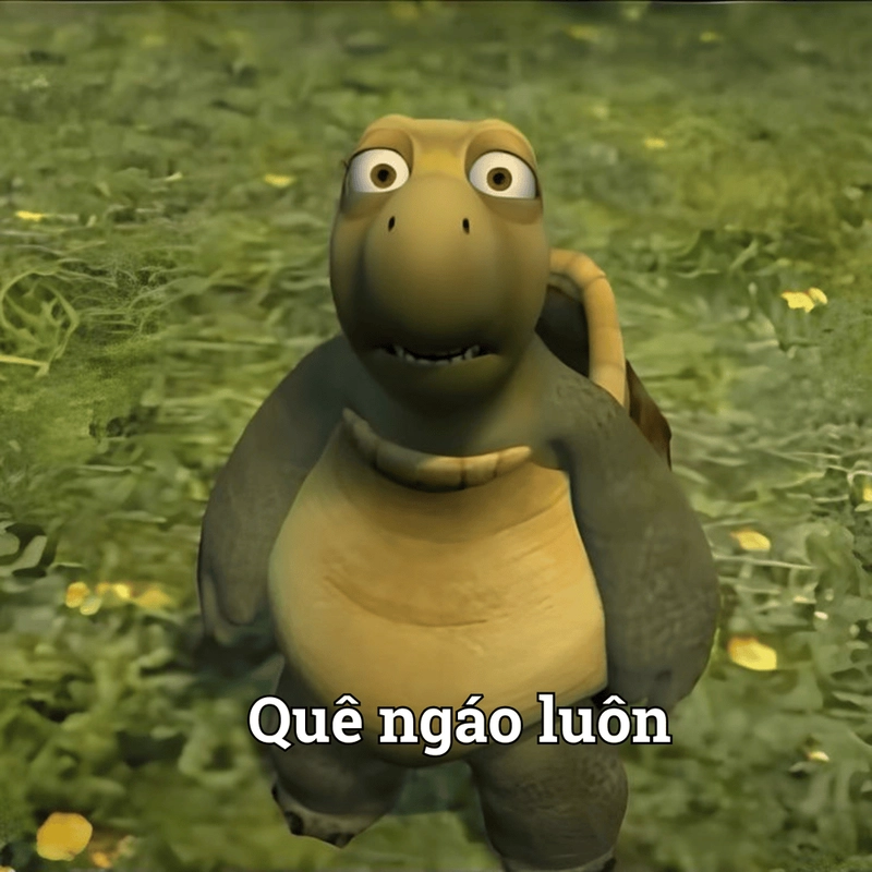 Meme quê lầy