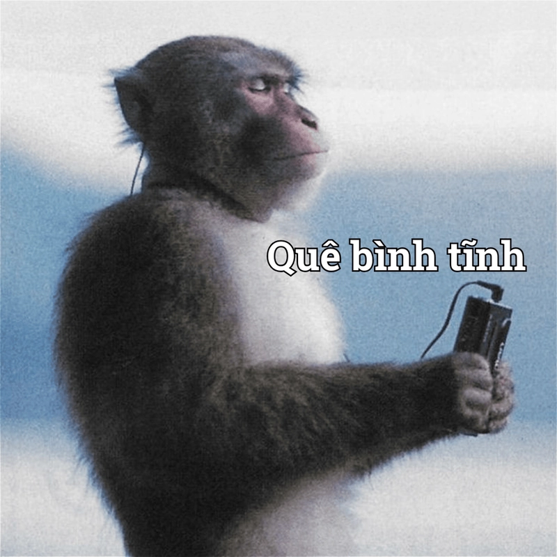 Meme chọc quê