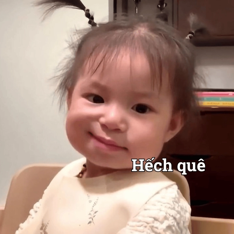 Meme quê siêu hài