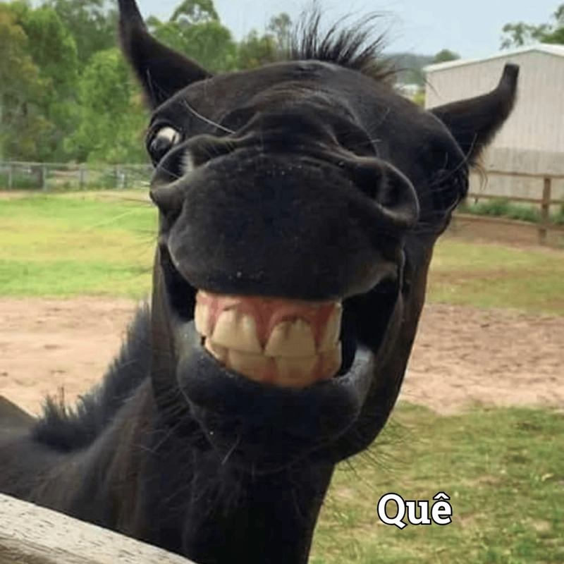 Meme người quê lầy lội