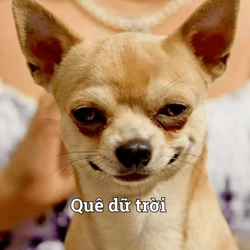 Hình meme quê quá