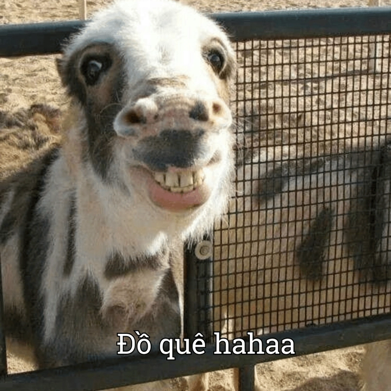 Meme quê siêu lầy