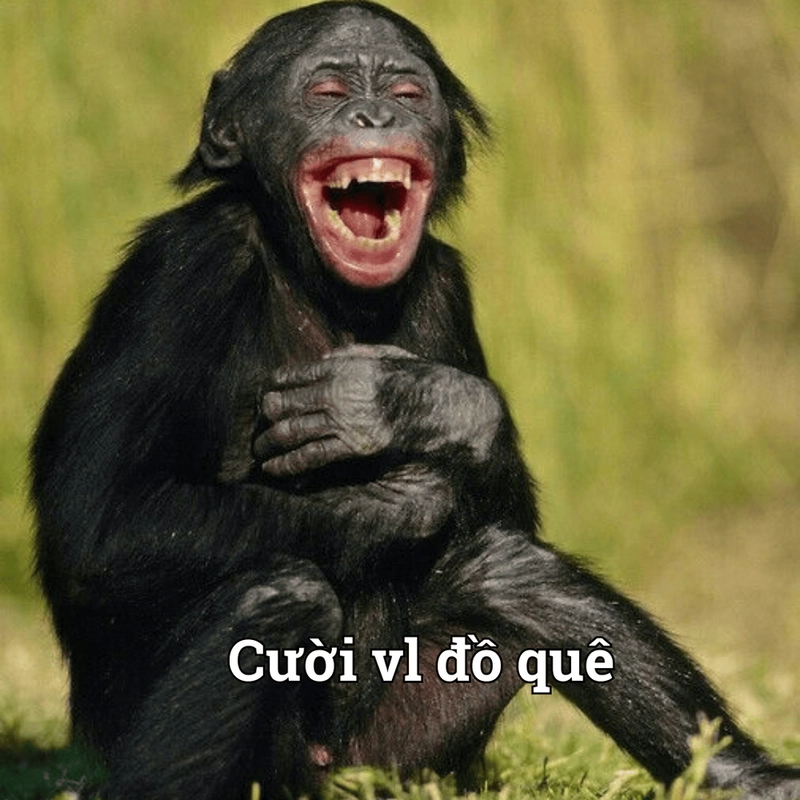Meme quê có tâm