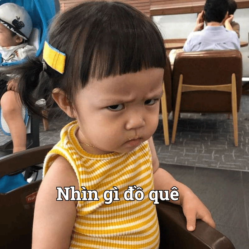 Meme quê quê vl