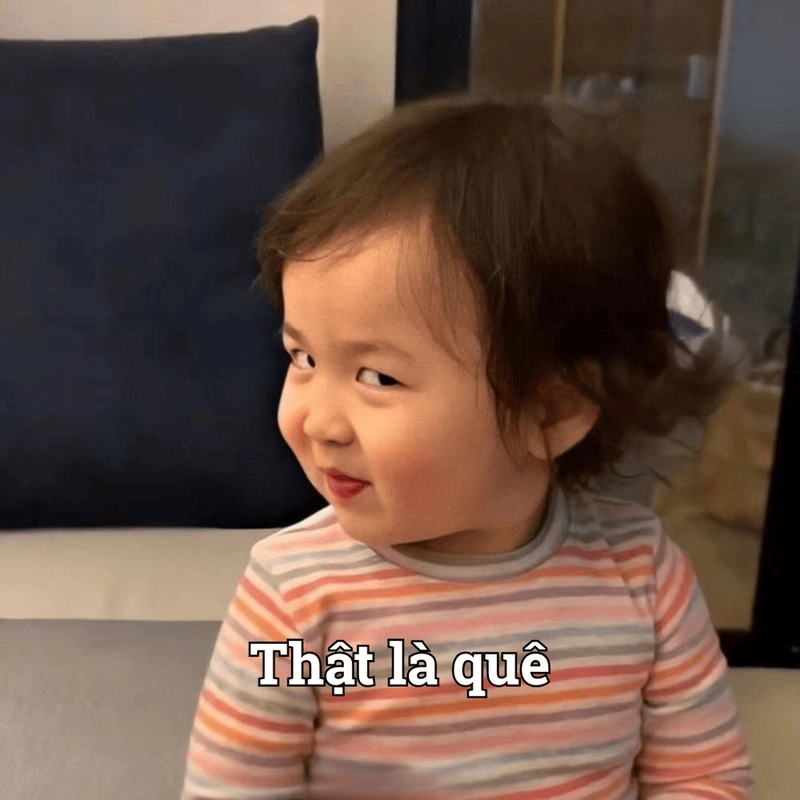 Meme quê hài hước