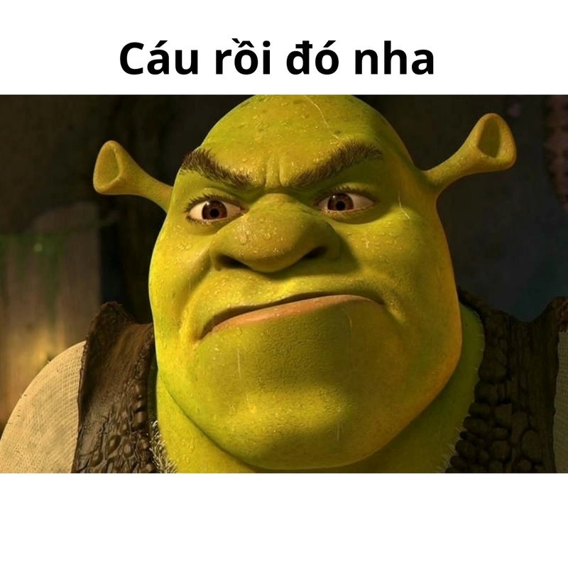 Ảnh meme Shrek hài hước