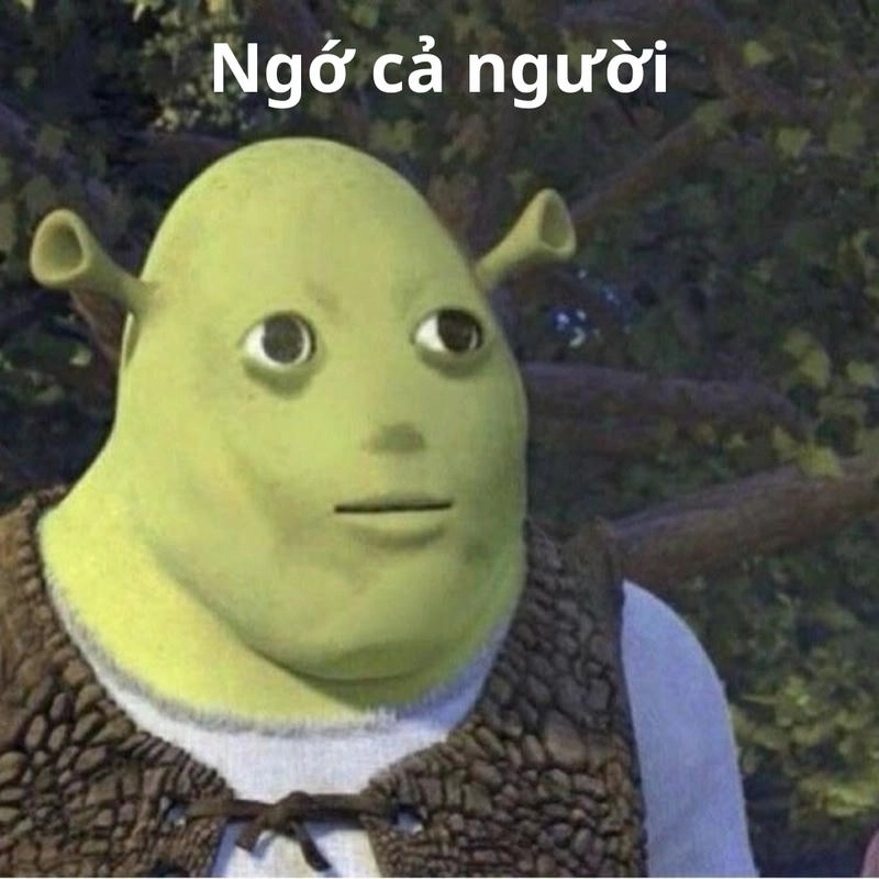 Hình ảnh Shrek meme vui nhộn