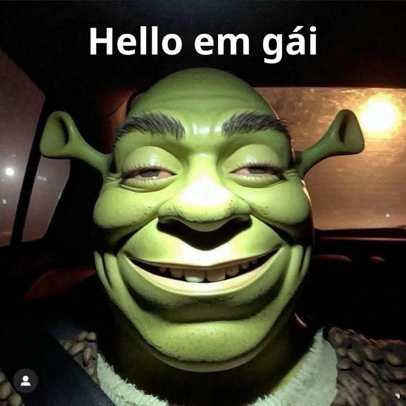 Ảnh meme Shrek hài hước nhất