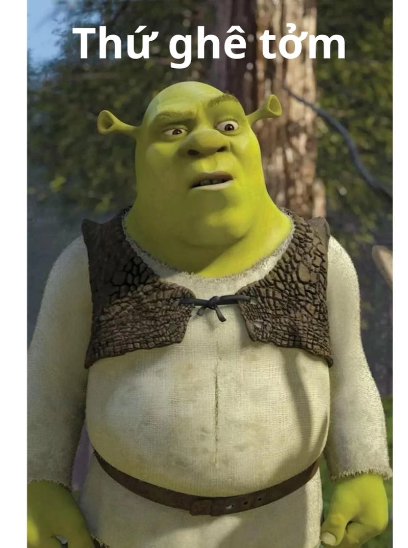 Shrek meme hài hước nhất