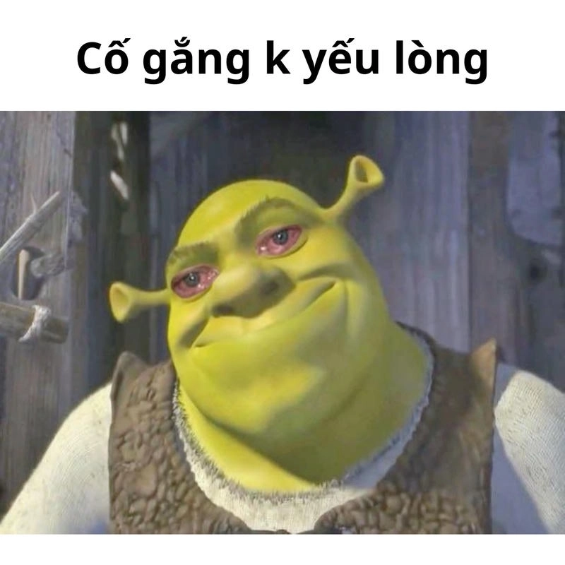 Ảnh meme Shrek siêu thú vị