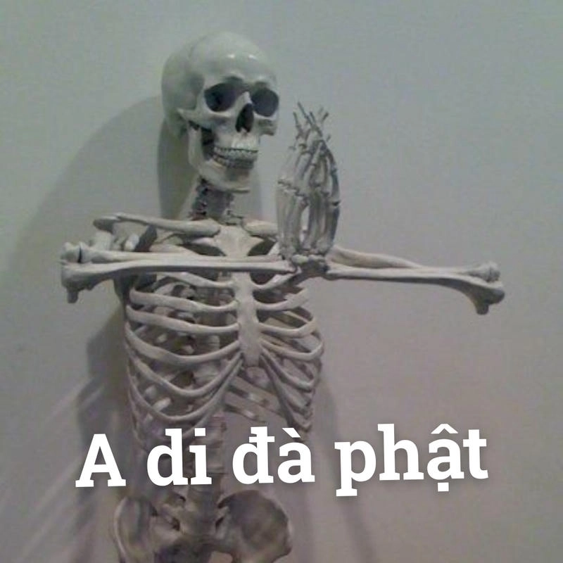 ảnh meme skeleton gây cười