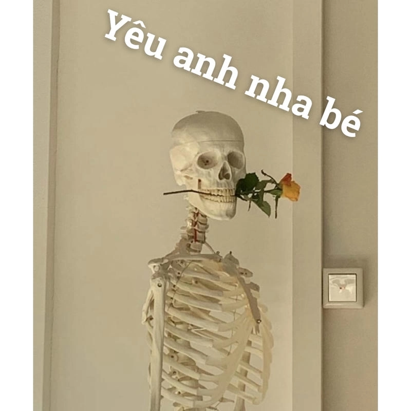 hình ảnh skeleton meme hài hước