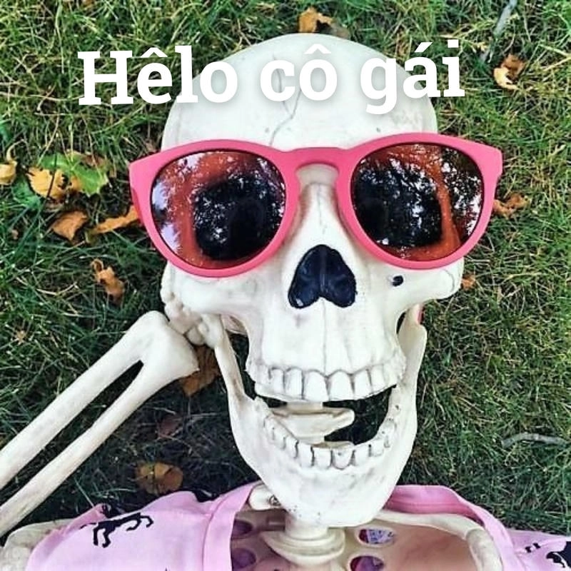 skeleton meme gây cười xỉu