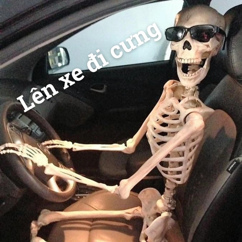 skeleton meme siêu hài hước