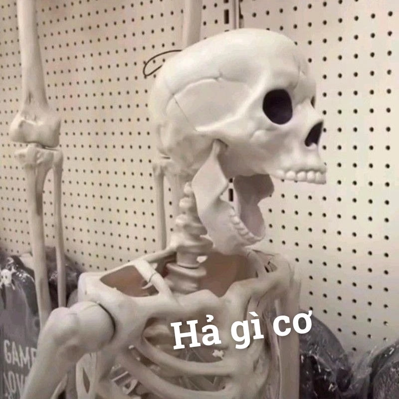 skeleton meme sảng khoái