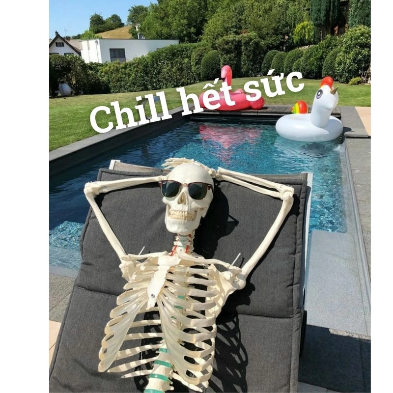 hình ảnh skeleton meme vui nhộn