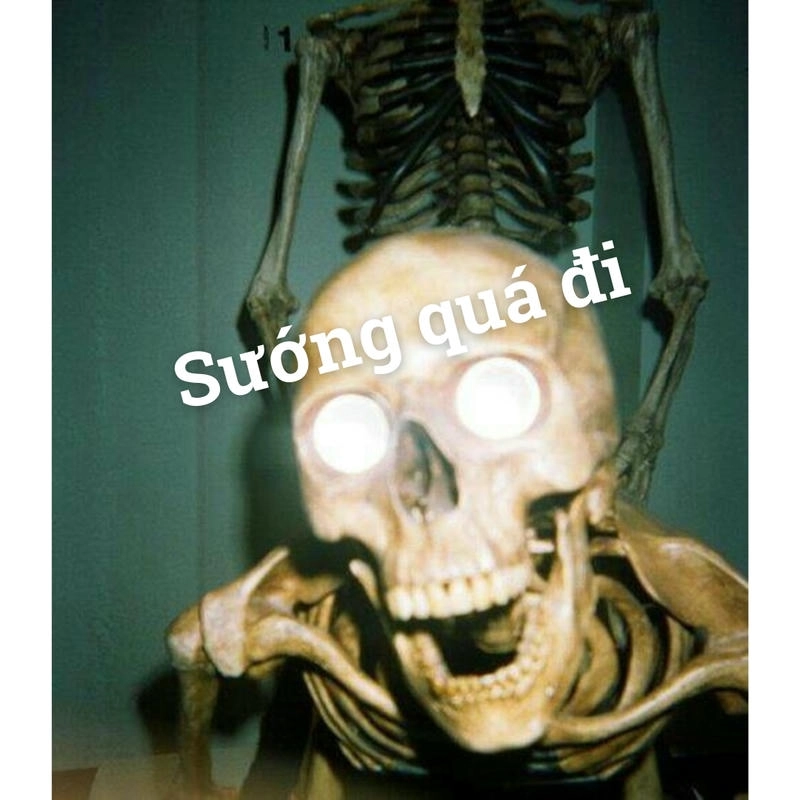 skeleton meme siêu chất