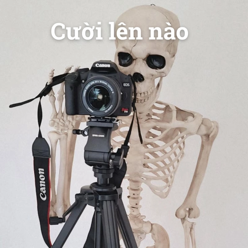 meme skeleton thú vị và hài hước