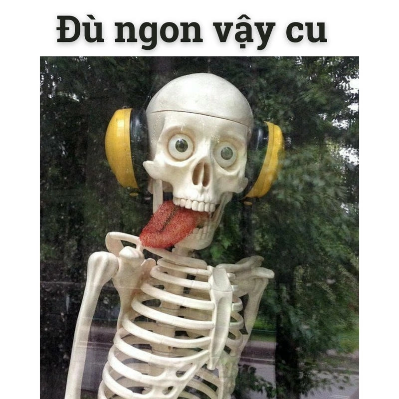 hình ảnh meme skeleton thú vị