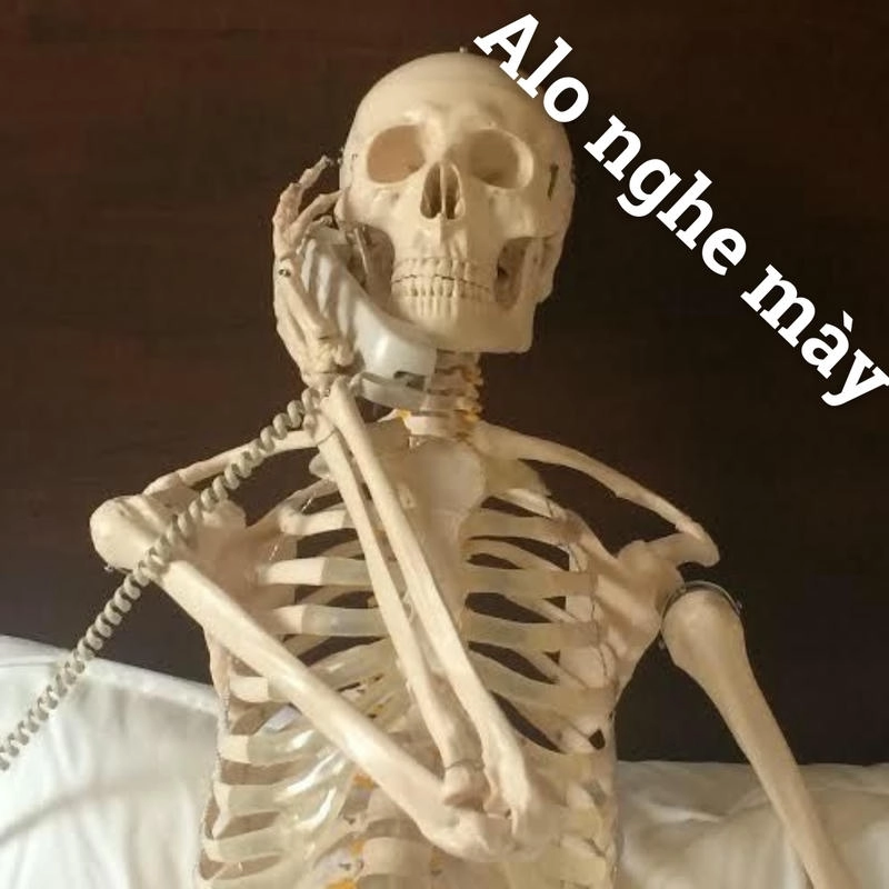 meme skeleton đáng yêu