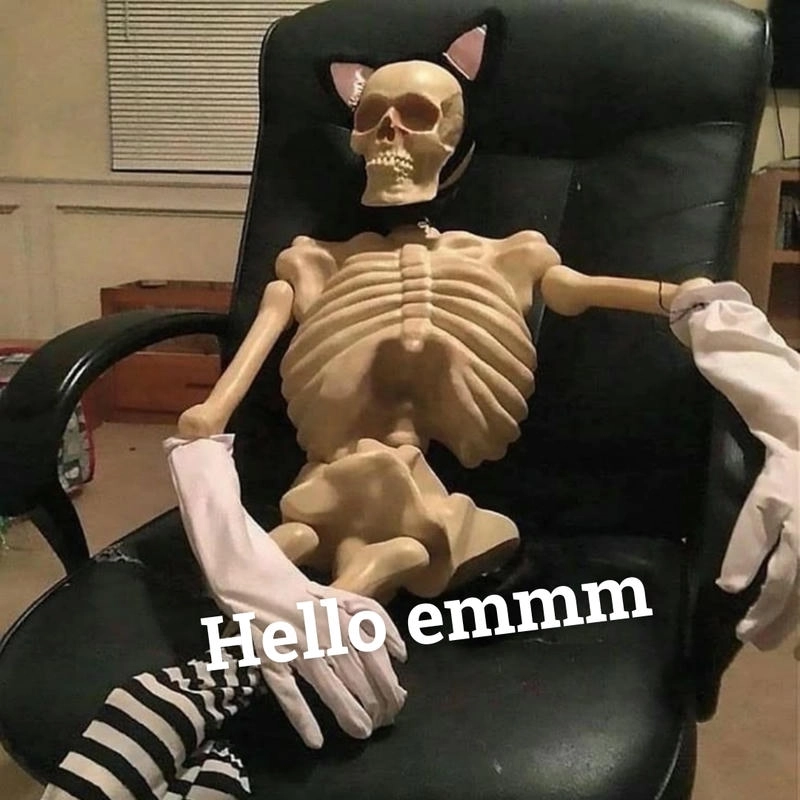 meme skeleton hài hước nhất