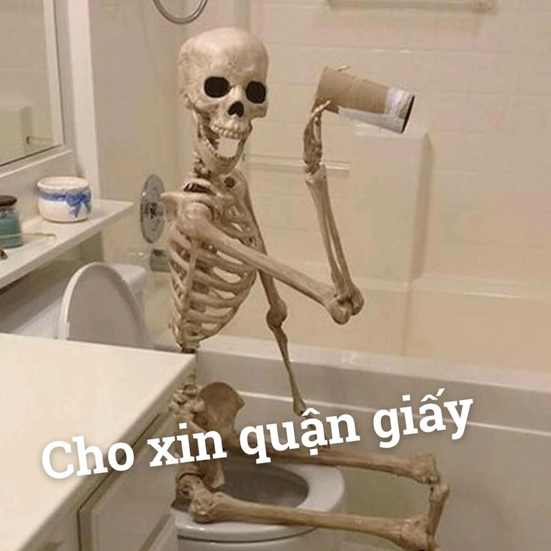 skeleton meme thú vị