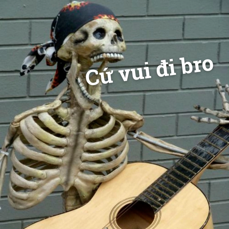 hình ảnh skeleton meme siêu vui