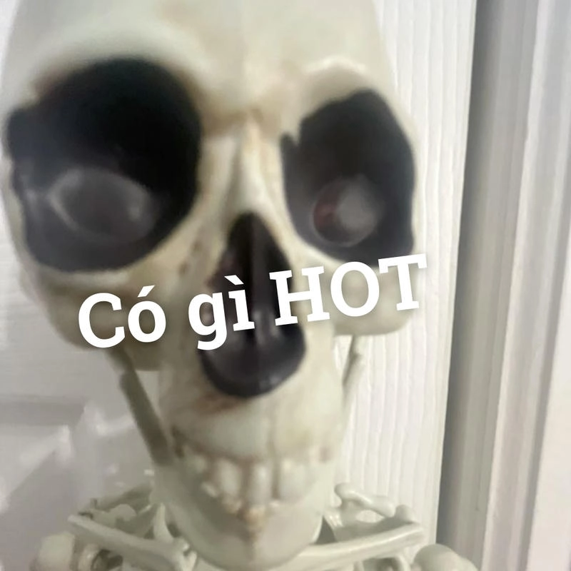 meme skeleton ngớ ngẩn