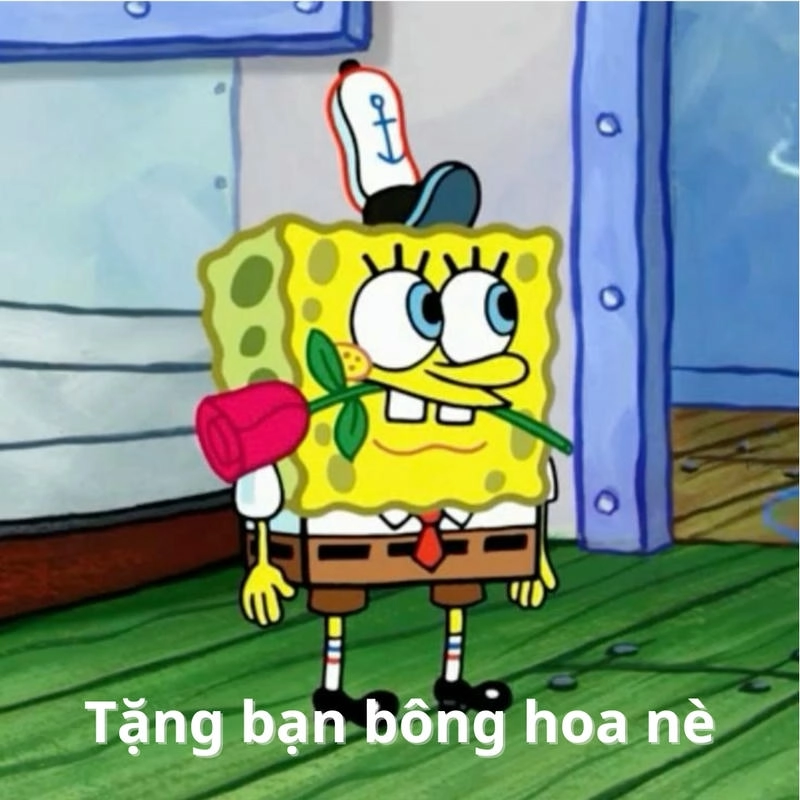 Biểu cảm hài hước của Spongebob meme