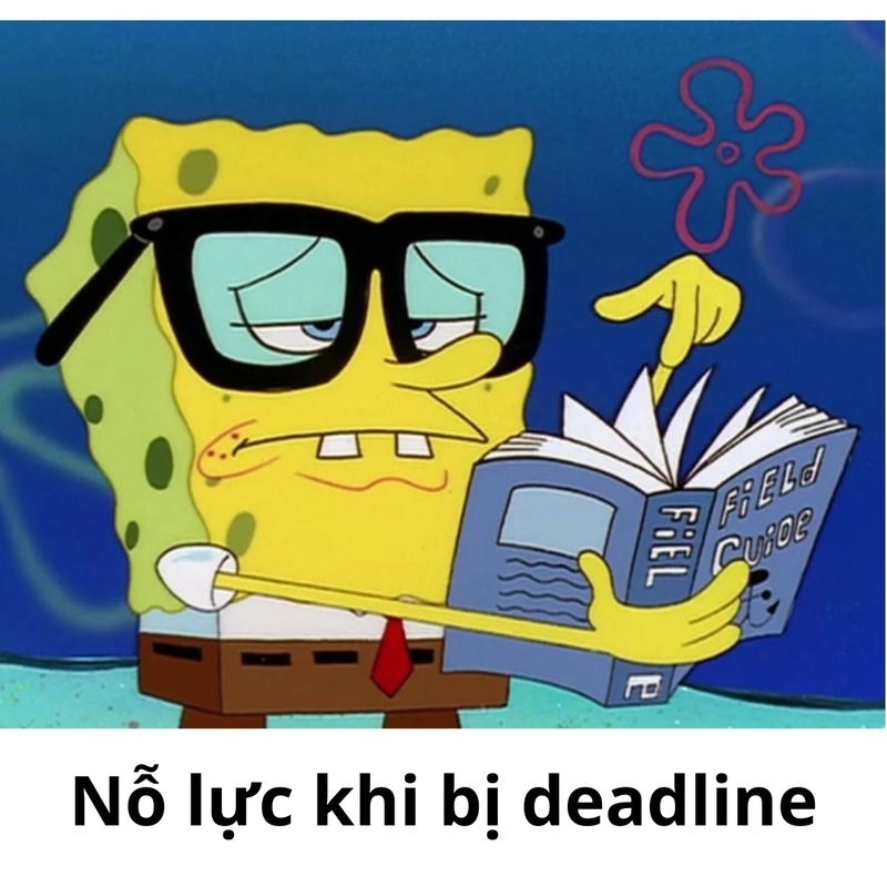 Biểu cảm hài hước của Spongebob meme