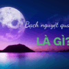 Bạch nguyệt quang là gì? Bạn đã gặp Tình yêu lý tưởng chưa?