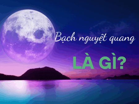 Bạch nguyệt quang là gì? Bạn đã gặp Tình yêu lý tưởng chưa?