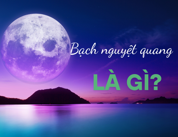Bạch nguyệt quang là gì
